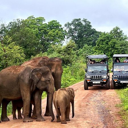 ホテル Elephant Haven ウダワラウェ エクステリア 写真