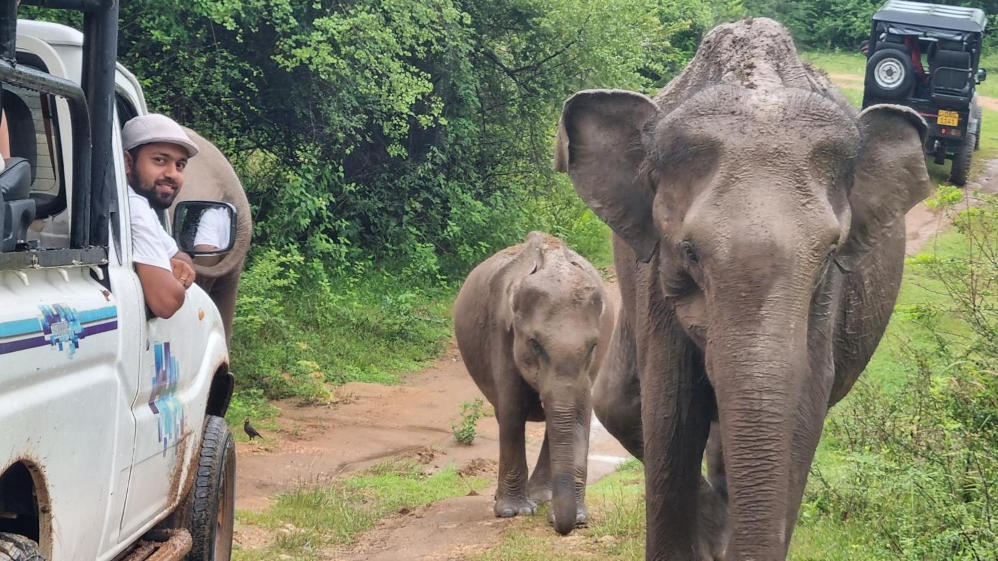 ホテル Elephant Haven ウダワラウェ エクステリア 写真